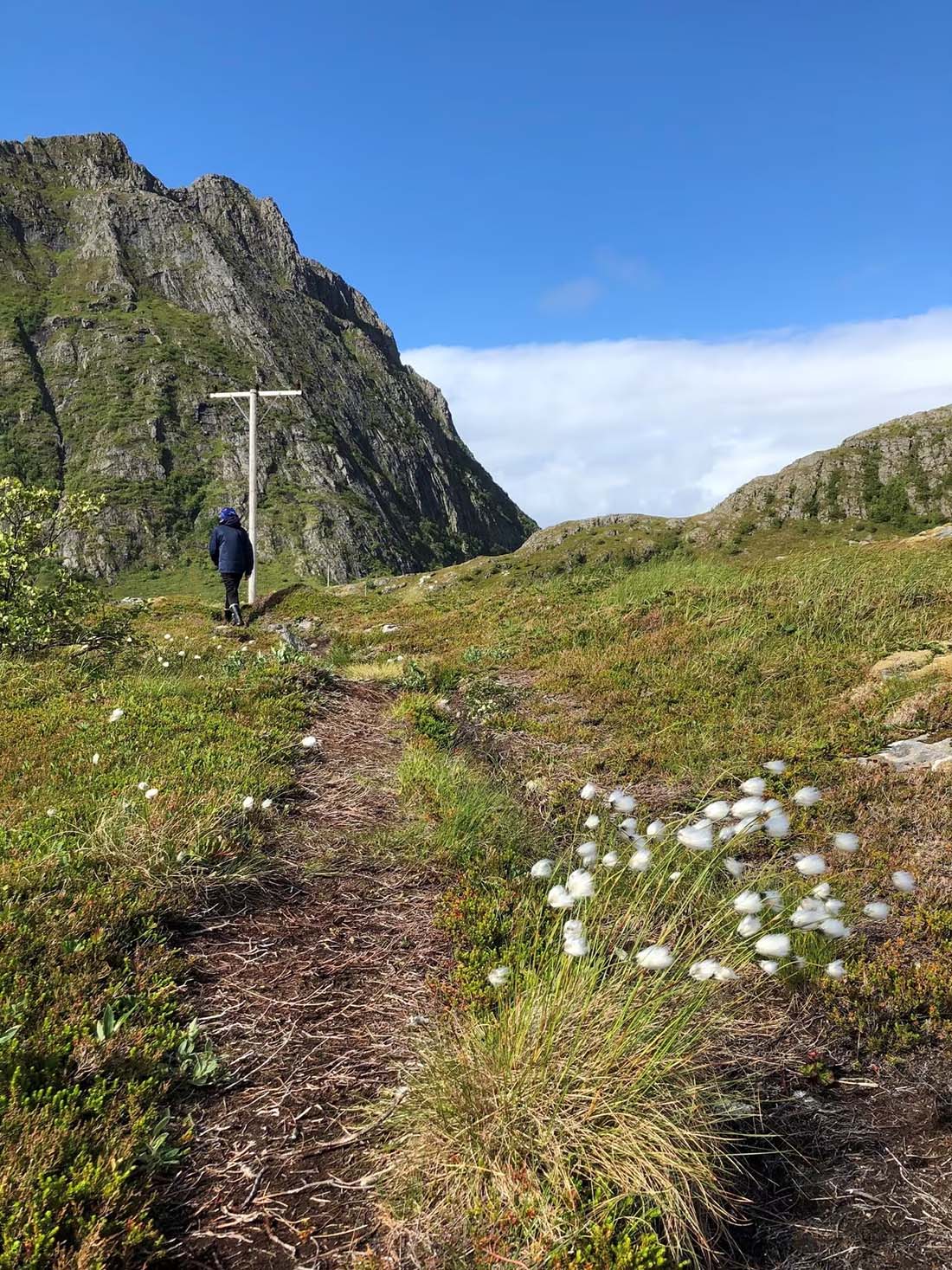 Tursti på Tindsøya