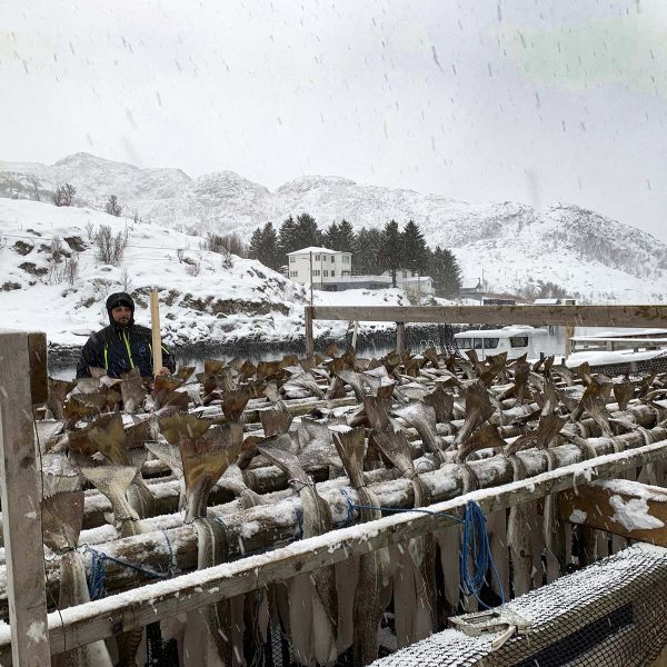 Fisk er hengt opp til tørke på vinterstid.