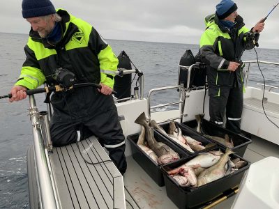 Gjester på fisketur og får storfangst.